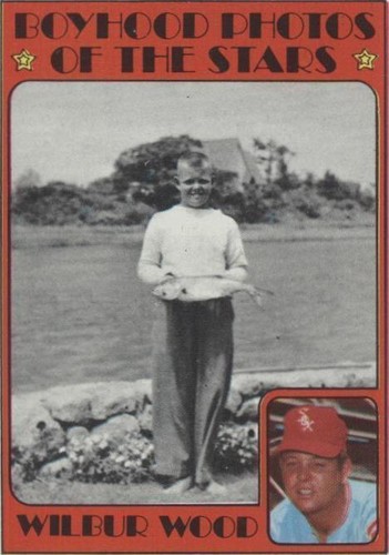 1972 Topps - Wilbur Wood #342