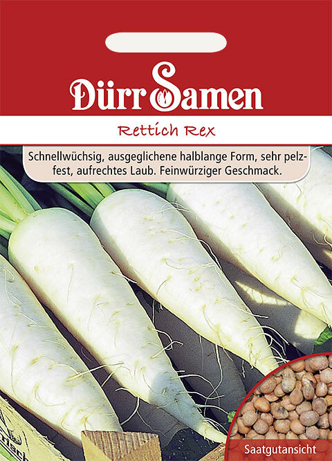Rettich Rex Saatgut Von DÃ¼Rr-Samen