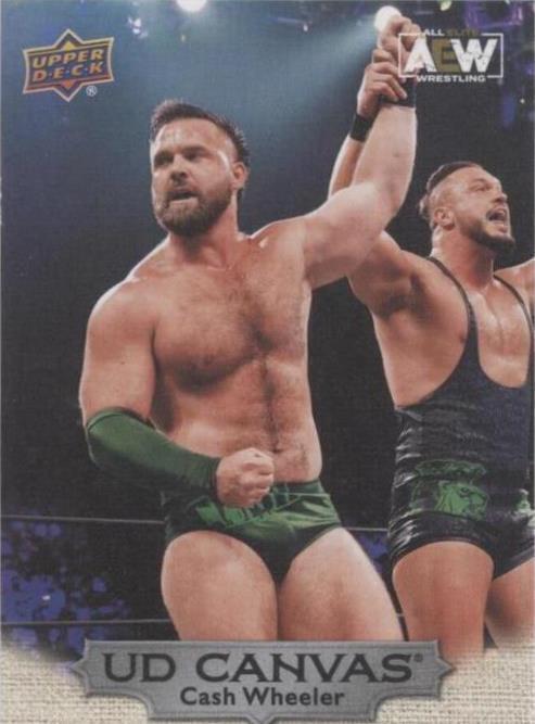2022 Upper Deck AEW All Elite Wrestling - Dash Wilder #C30