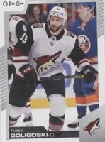 2020-21 O-Pee-Chee - Alex Goligoski #229