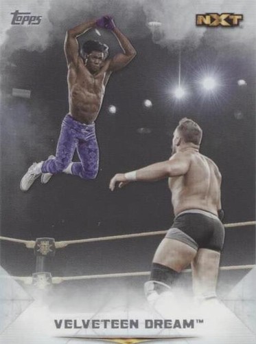2020 Topps WWE Undisputed - Velveteen Dream #74