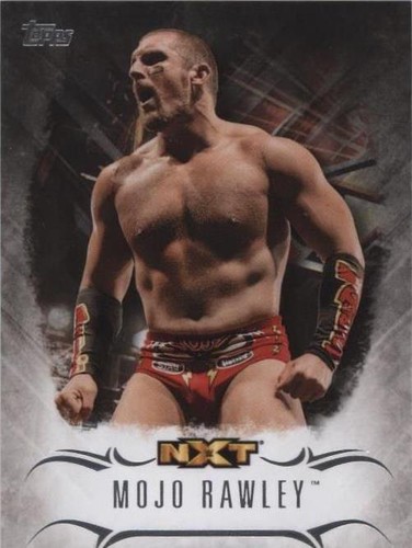 2016 Topps WWE Undisputed - Mojo Rawley #NXT-21