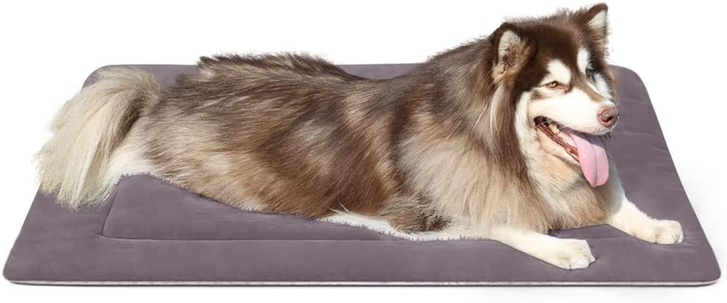 Crate Pad 47 In Washable Soft Pet Beds Dog Mat Mattr