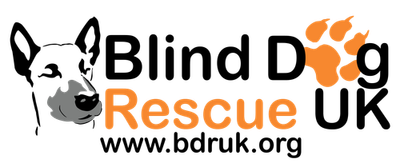 Blind Dog Rescue UK
