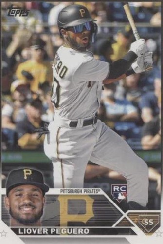 2023 Topps Series 1 - Liover Peguero #238