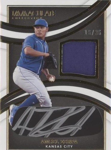 2022 Panini Immaculate Collection - Angel Zerpa #IBP-AZ