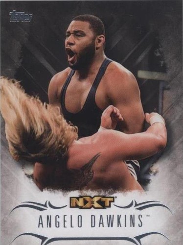 2016 Topps WWE Undisputed - Angelo Dawkins #NXT-3