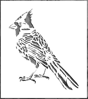 8''x9'' Clear Plastic Stencil - Cardinal (SC284)*****