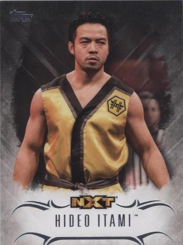 2016 Topps WWE Undisputed - Hideo Itami #NXT-19