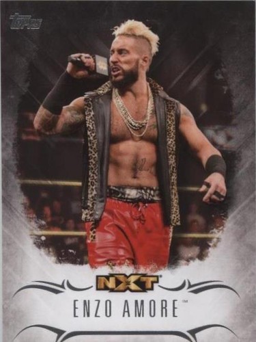 2016 Topps WWE Undisputed - Enzo Amore #NXT-17
