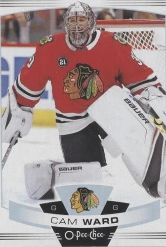 2019-20 O-Pee-Chee - Cam Ward #247