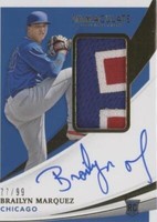 2021 Panini Immaculate Collection - Brailyn Marquez #102