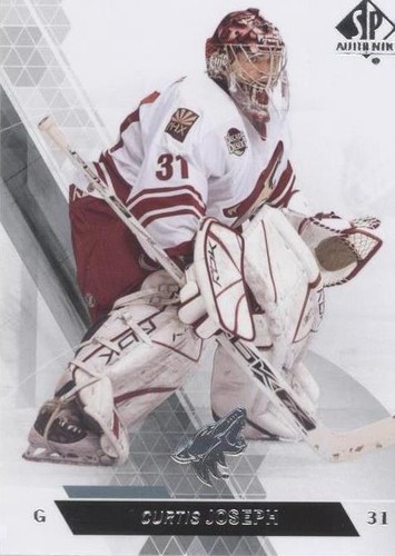 2013-14 SP Authentic - Curtis Joseph #36