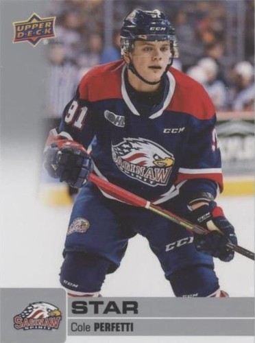 2019-20 Upper Deck CHL - Cole Perfetti #313