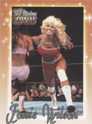 2003 Fleer WWE Divine Divas - Torrie Wilson #48