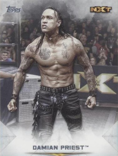 2020 Topps WWE Undisputed - Damian Priest #56