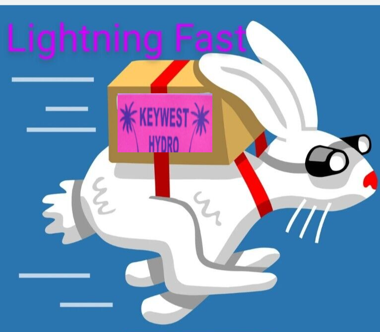 2" INCH BLUE NET CUP POTS HEAVY DUTY 2 /12/25/50/ 100 for  HYDROPONIC SYSTEMS