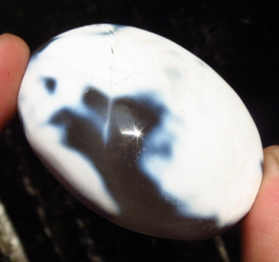 ORCA AGATE POLISHED HEALING WAVES OF THE WHALE CRYSTAL PALMSTONE MADAGASCAR *10