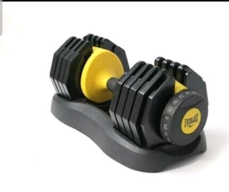 Everlast 50kg (x2 25kg) adjustable dumbbell set BRAND NEW BOXED in Ilford, London Gumtree