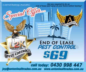 End of lease pest control gold coast