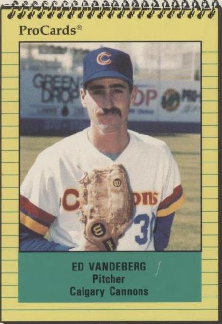1991 ProCards Minor League - Ed Vande Berg #517