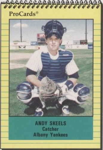 1991 ProCards Minor League - Andy Skeels #1012