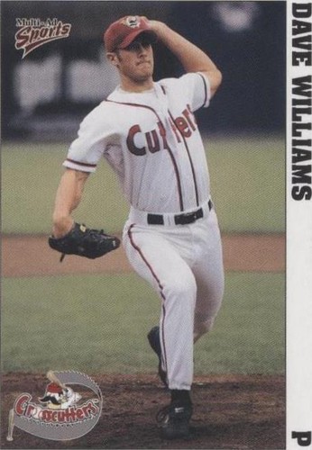 1999 Multi-Ad Sports Williamsport Crosscutters - Dave Williams #29