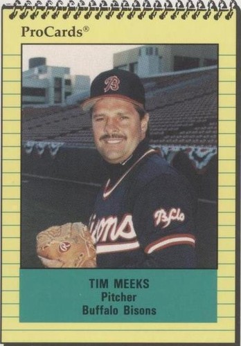 1991 ProCards Minor League - Tim Meeks #537