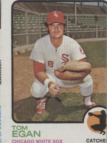 1973 Topps - Tom Egan #648