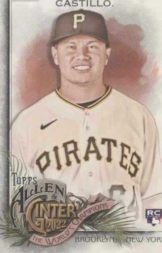 2022 Topps Allen & Ginter - Diego Castillo #257