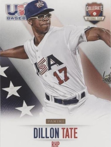 2014 Panini USA Baseball Box Set - Dillon Tate #25