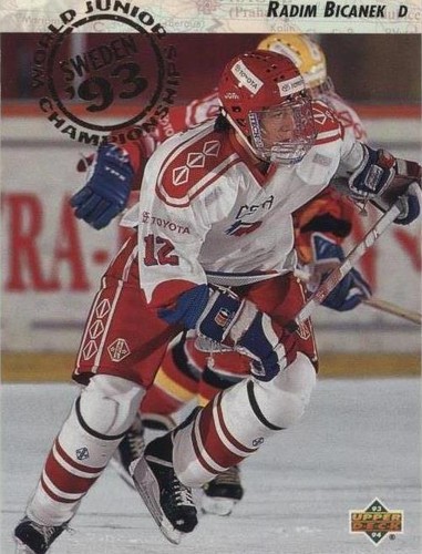 1993-94 Upper Deck - Radim Bicanek #262