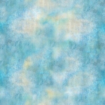 Hoffman Jewel Basin by McKenna Ryan MRD28 16 Sky  Cotton BTY