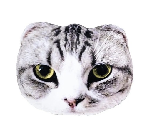 Taylor Swift MEREDITH Swift Cat Pillow | eBay