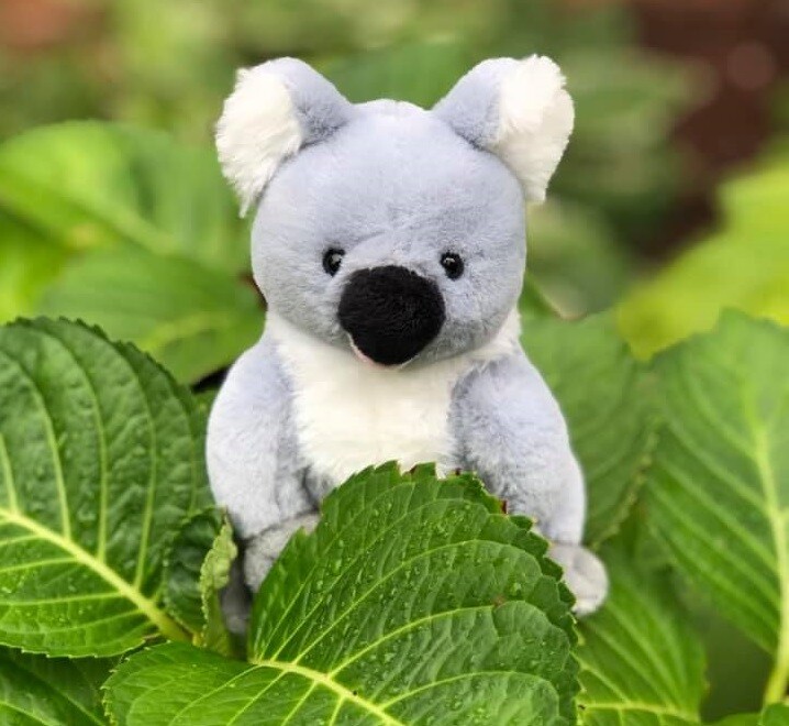 Brisbane Mini Little Handful Koala Bear Plush Stuffed Animal