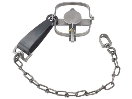 ビクター ryuga2pro 4UG6 美品 VICTOR(スポーツ) VICTOR TK-RYUGA II PRO / ビクター