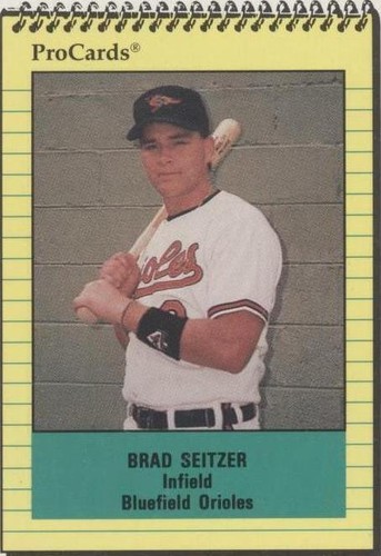 1991 ProCards Minor League - Brad Seitzer #4137