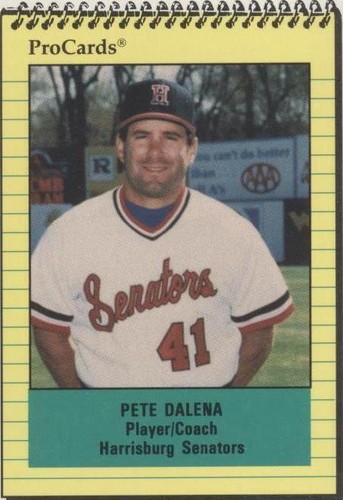1991 ProCards Minor League - Pete Dalena #643