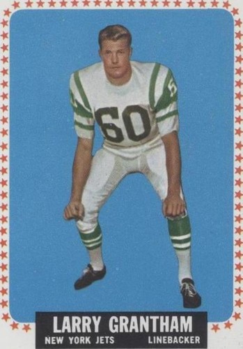 1964 Topps Larry Grantham #113