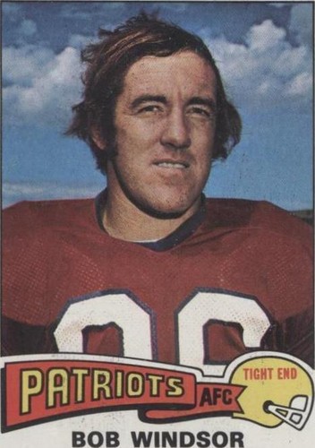1975 Topps Bob Windsor #101
