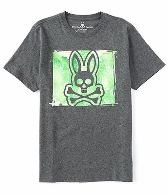 

Мужская футболка с короткими рукавами и логотипом Psycho Bunny Футболка Haley Heather Storm