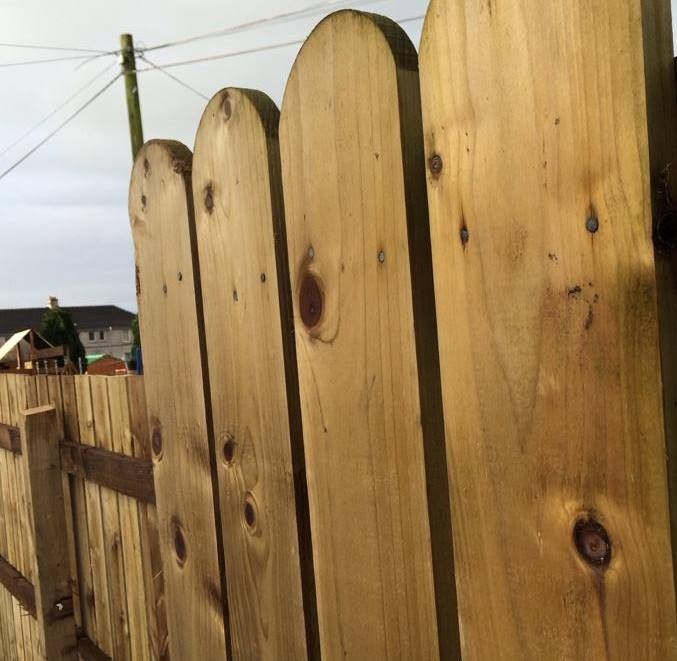 150 round top fence boards at 3ft in Kirkcudbright, Dumfries and