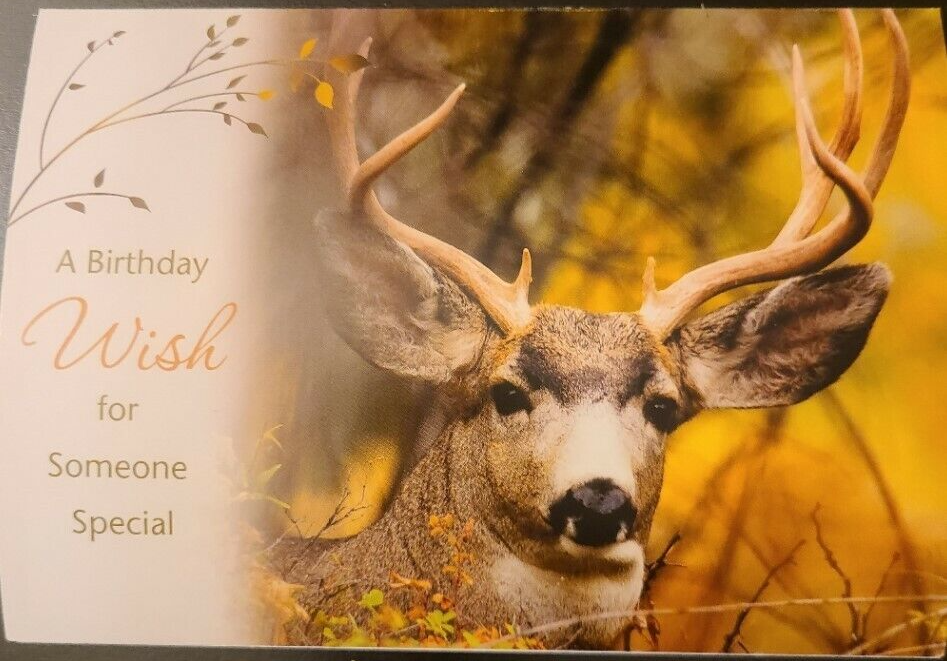 Free Printable Deer Hunting Birthday Cards