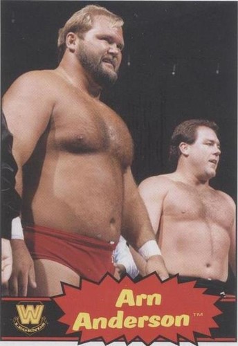2012 Topps Heritage WWE - Arn Anderson #59