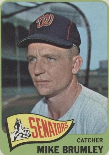 1965 Topps - Mike Brumley #523