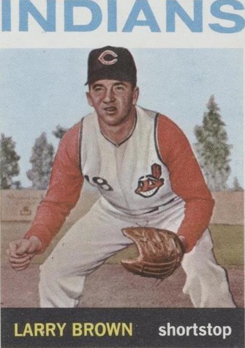 1964 Topps - Larry Brown #301