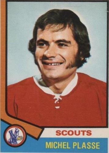 1974-75 O-Pee-Chee - Michel Plasse #257