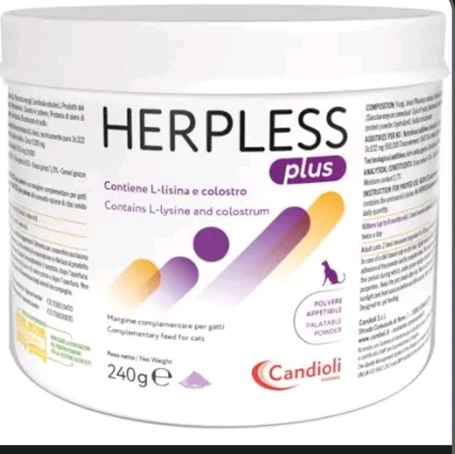 1 Candioli Herpless Plus 240 Grammi Per Gatti Combatte Infezioni Da Herpes Gatto