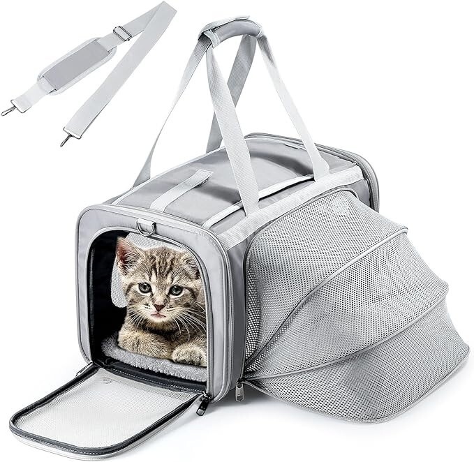 Bag, Airline & Tsa Approved Pet Carrier