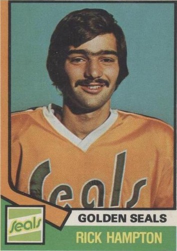 1974-75 O-Pee-Chee - Rick Hampton #329